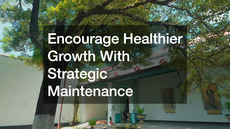 Encourage Healthier Growth With Strategic Maintenance