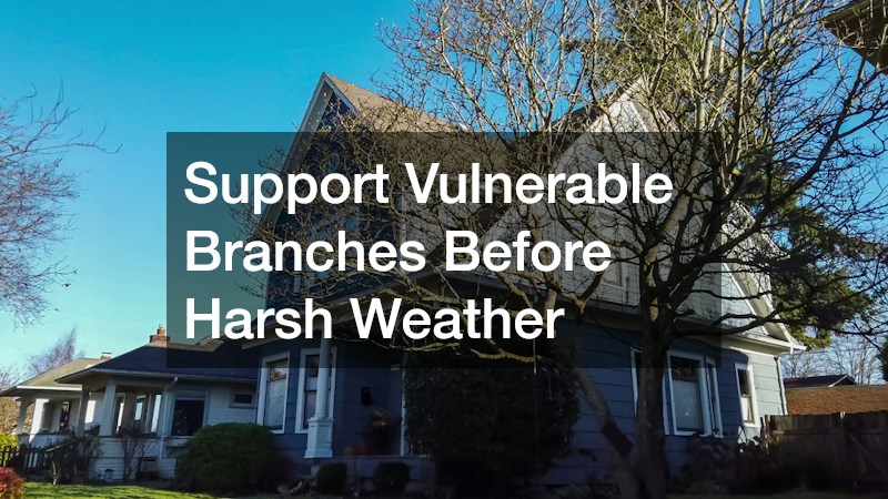 Support Vulnerable Branches Before Harsh Weather