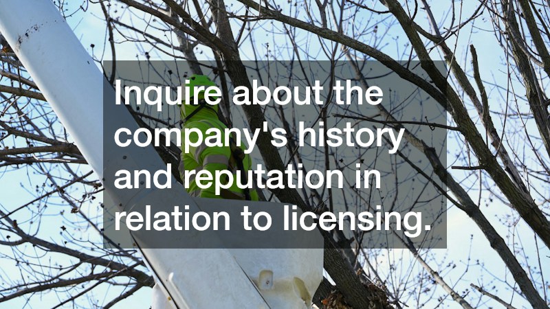 Inquire about the company’s history and reputation in relation to licensing.
