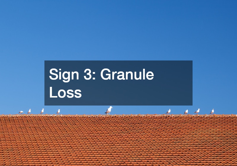 Sign 3: Granule Loss