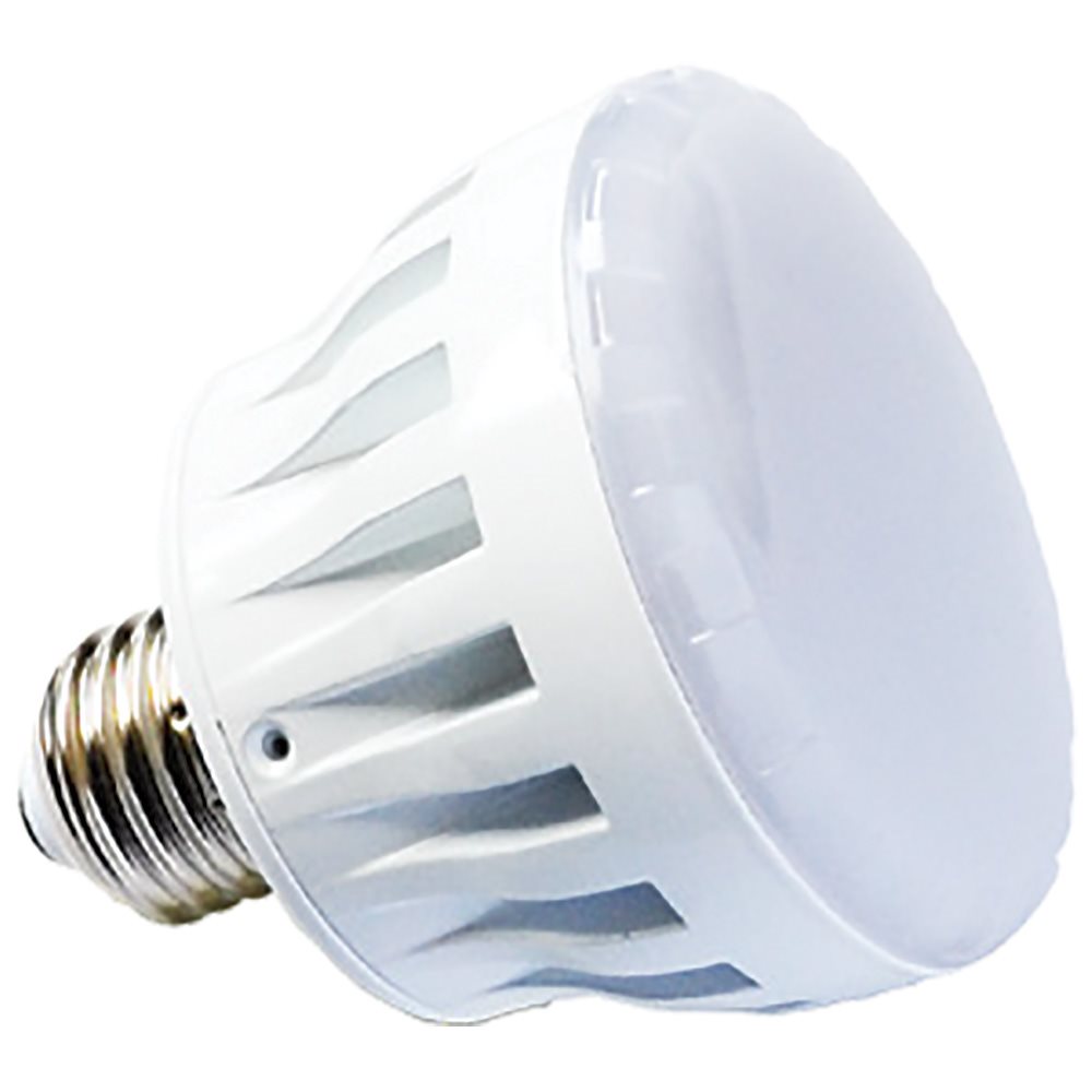 J&J Electronics PureWhite Pro Pool Bulb