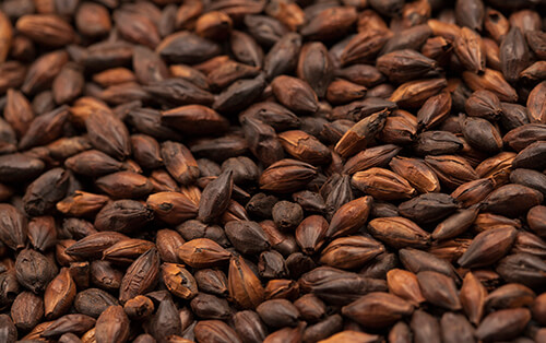 Roasted Malts