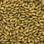 Organic Malts