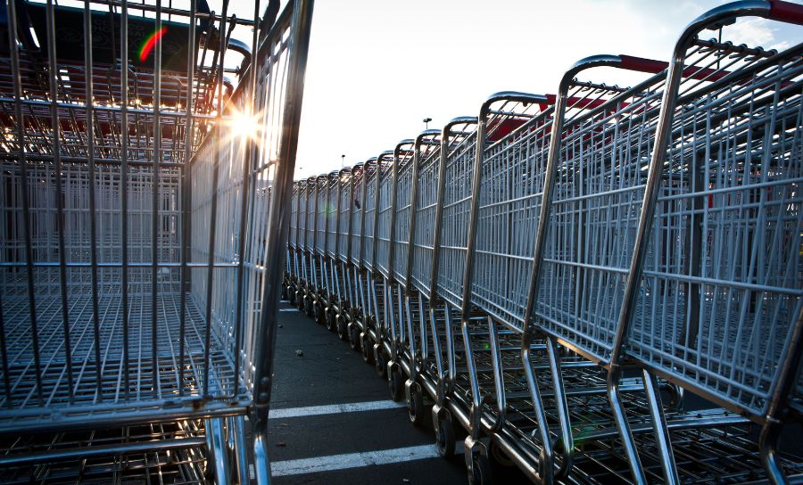 What Are the Different Types of Shopping Carts?