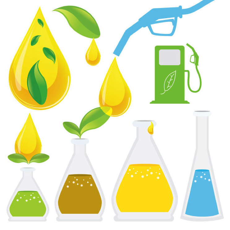 Biodiesel Production Process - What is Esterification?
