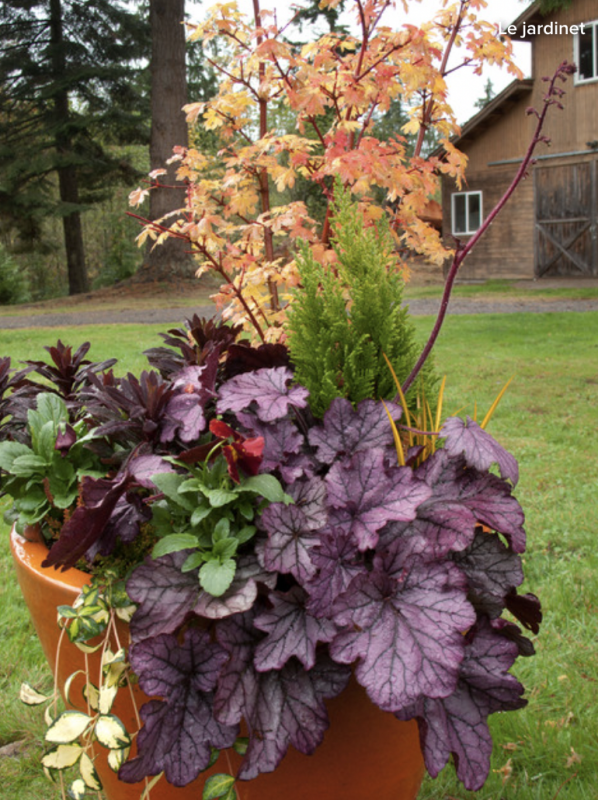 5 Flower Pot Ideas for Fall