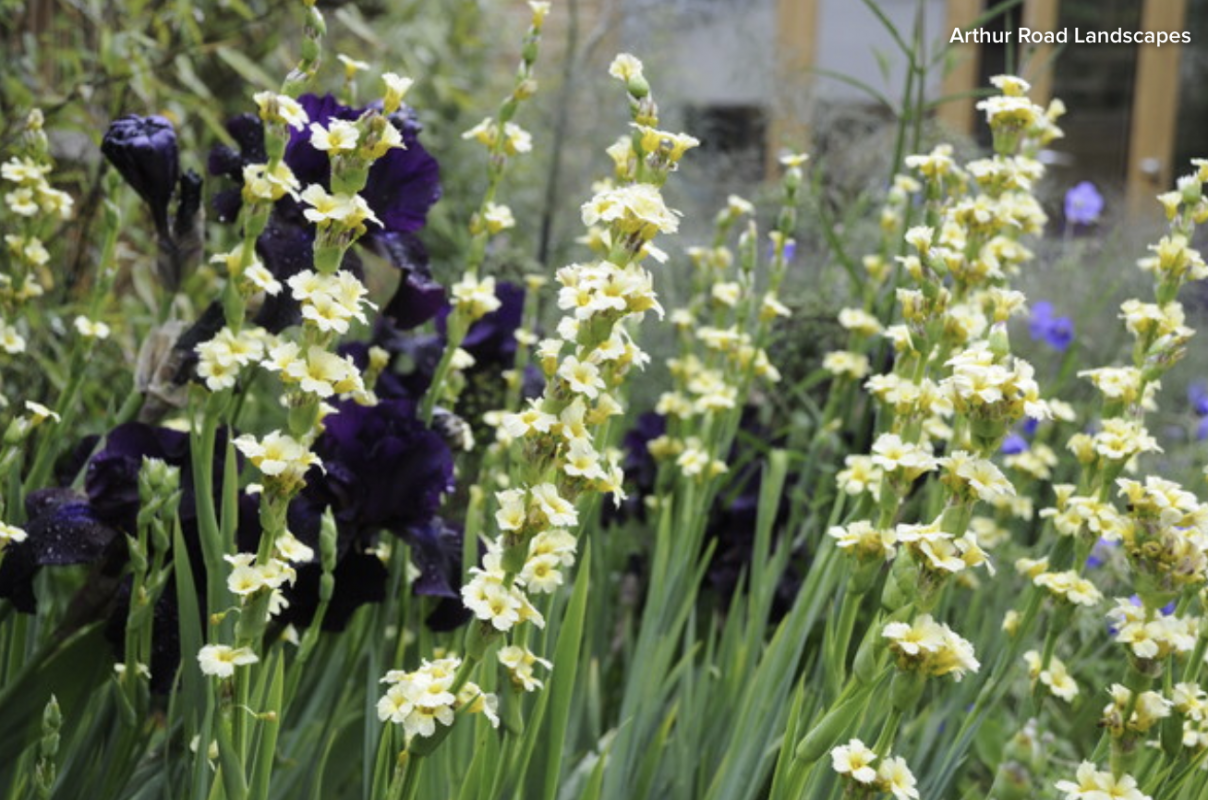 It May Seem Obvious, But Color is Key