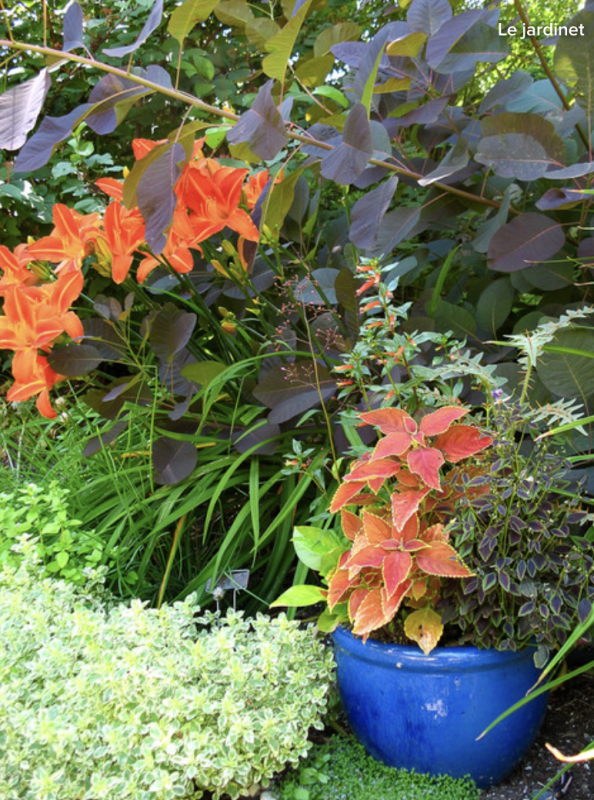 Solving Garden Border Dilemmas with Flower Pots