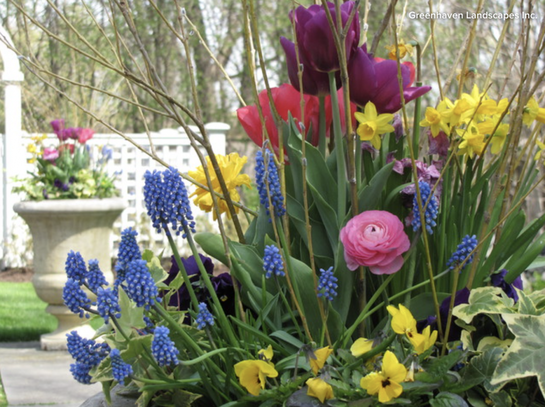 Stunning Spring Container Garden Ideas