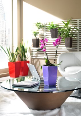 Houseplants Are Hot (& They Need Flower Pots)