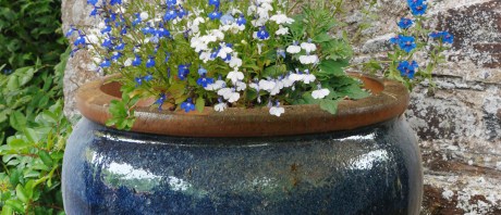 Flower Pot University – Rustic Chinese Pottery