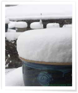 malaysian-pots-in-snow