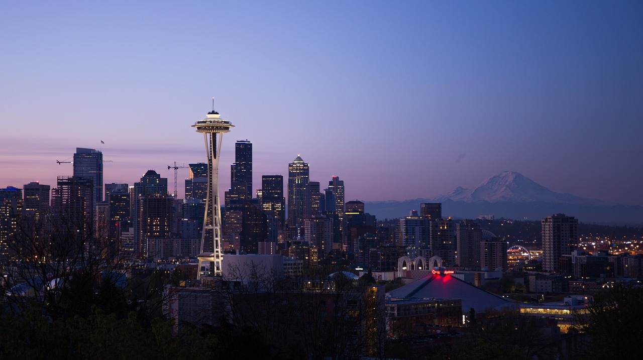 Alarm Panic System: The Real Reason We’re Sleepless in Seattle