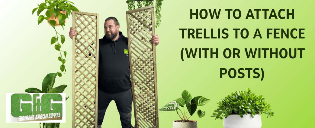 How to Attach Trellis to a Fence (With or Without Posts)