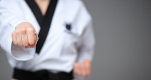 What-We-Offer-Karate-Families-Background