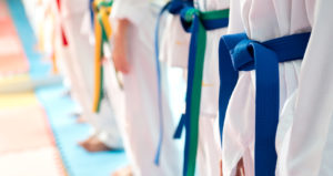 Karate-Families