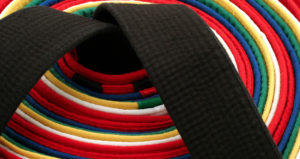 Memberships-Karate-Families-Header