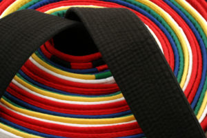 5-Reasons-to-Start-Karate-As-a-Kid-Karate-Families