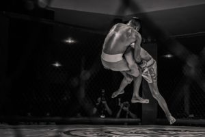 Mixed-Martial-Arts-MMA-Karate-Families