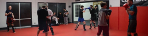 Bushido MMA Intro
