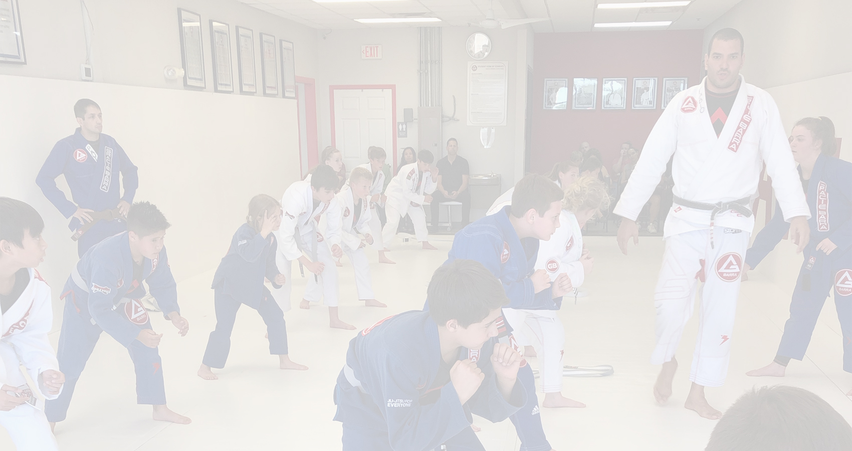 homebannernew Gracie Barra Cedar Park