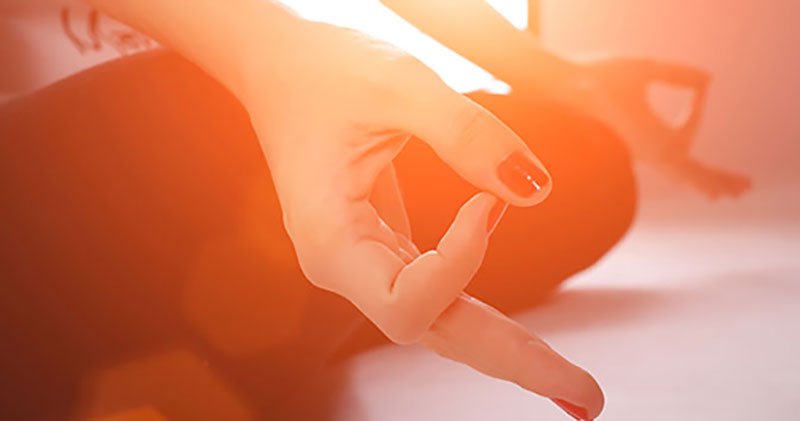 Zen Planner’s New Lead Capture Widget for Fitness Websites