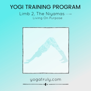 Yogi-Training-Book-2