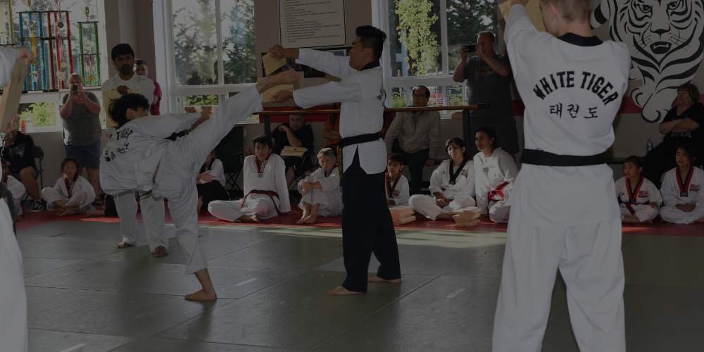  White Tiger Martial Arts, LLC