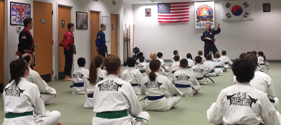 Home-Page-Revolution-Martial-Arts-Institute