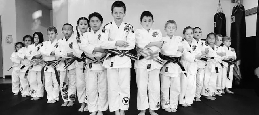 Jiu Jitsu Kids v2