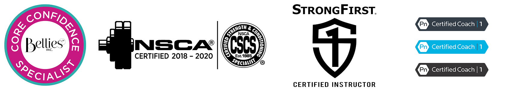 tnsf-banner1