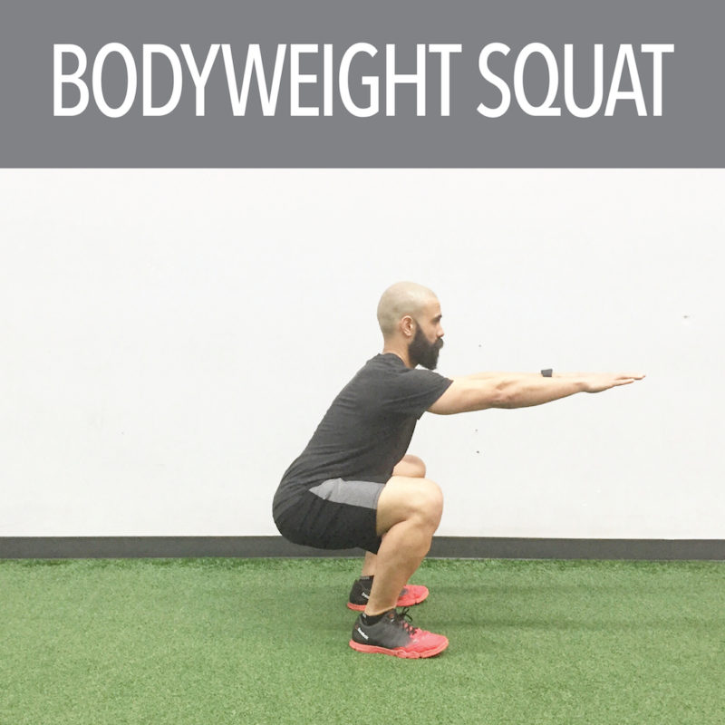 QuarterTwoSquat02FundamentalsFinal True North Strength