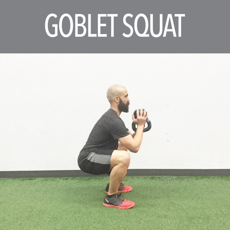 QuarterTwoSquat03FundamentalsFinal True North Strength