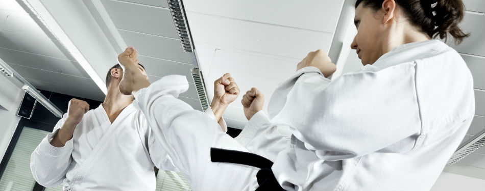 Self Defense Program