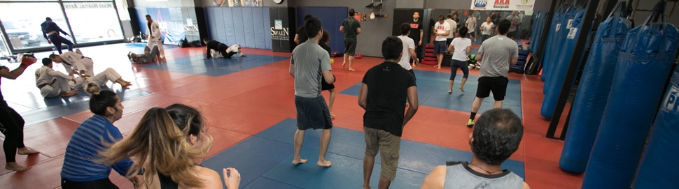AKA-Kickboxing