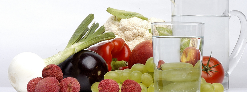 Puravida-programs-nutrition nutrition