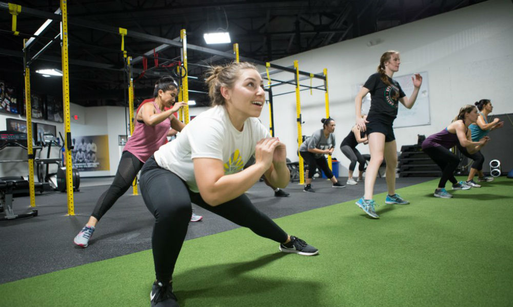 labfit