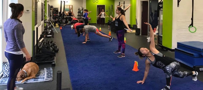 High-Function-Fitness-More-Than