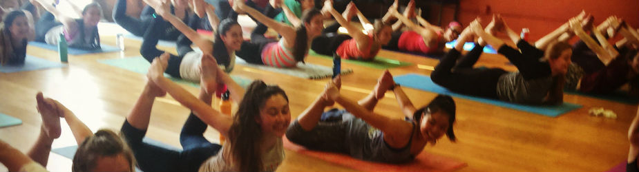 Vinyasa Program