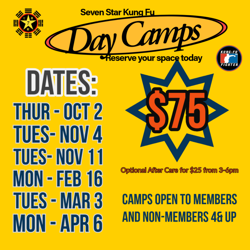 Step Day Camp Program Day Camps - Seven Star Kung Fu Academy | Chapel Hill, NC