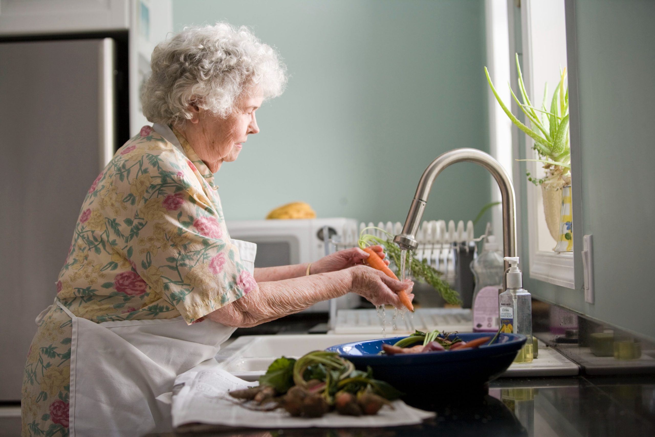 Senior Living in house