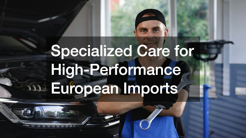 Specialized Care for High-Performance European Imports