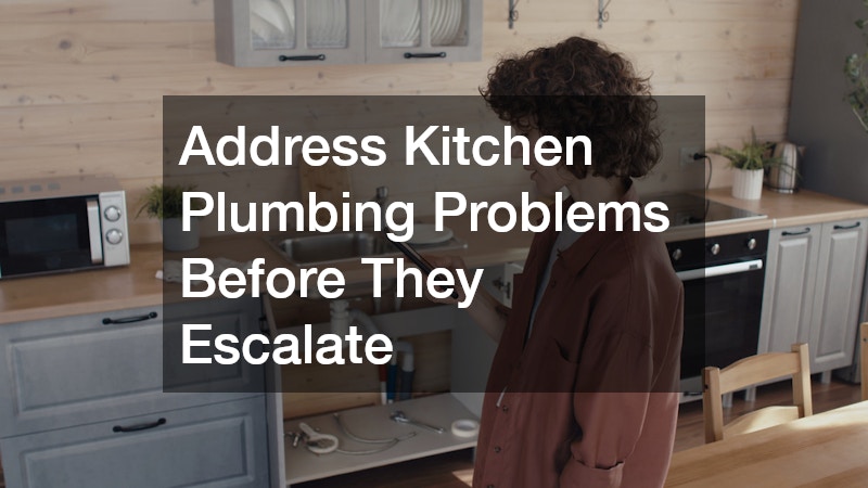 Address Kitchen Plumbing Problems Before They Escalate