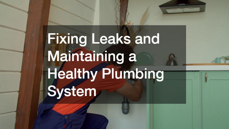 Fixing Leaks and Maintaining a Healthy Plumbing System