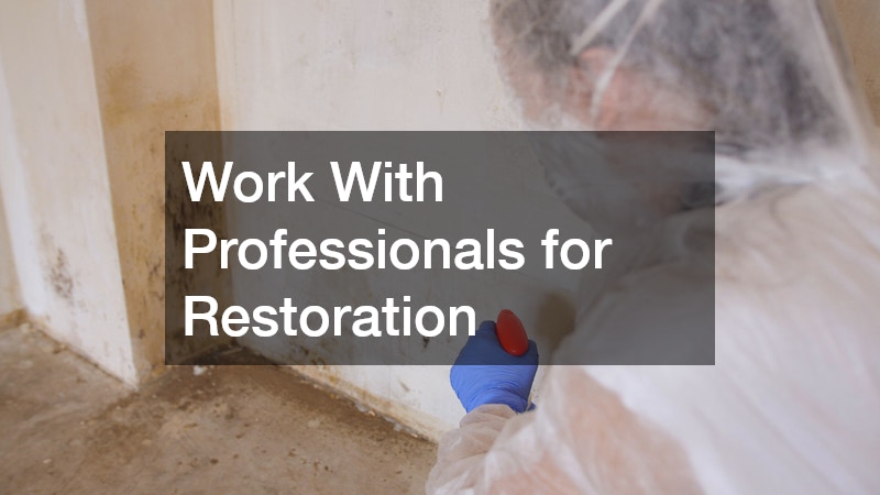 Work With Professionals for Restoration