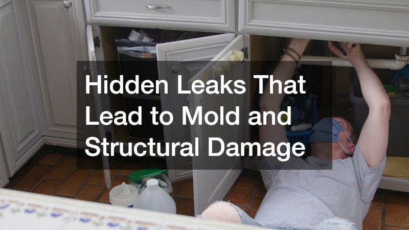 Hidden Leaks That Lead to Mold and Structural Damage