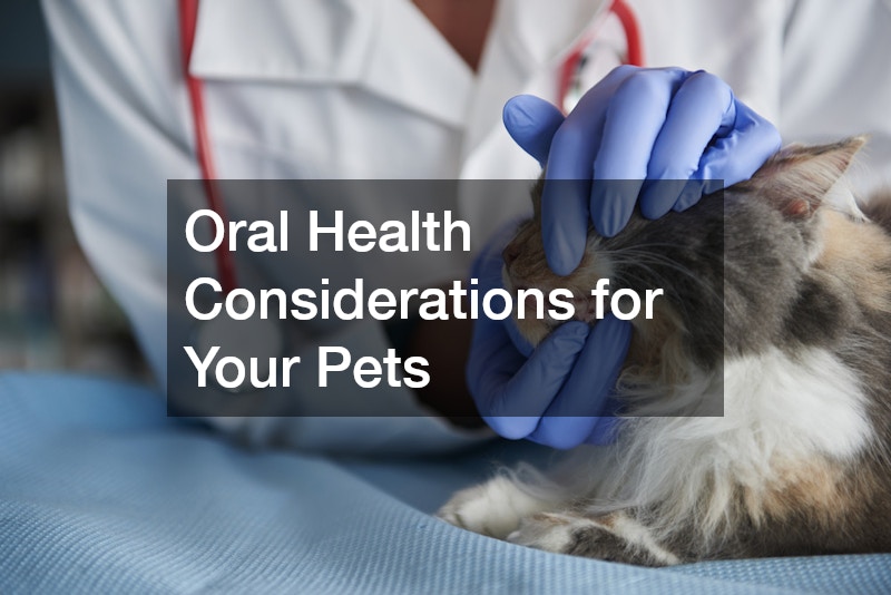 Oral Health Considerations for Your Pets