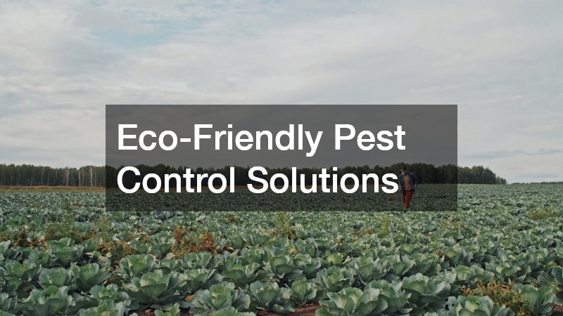 Eco-Friendly Pest Control Solutions