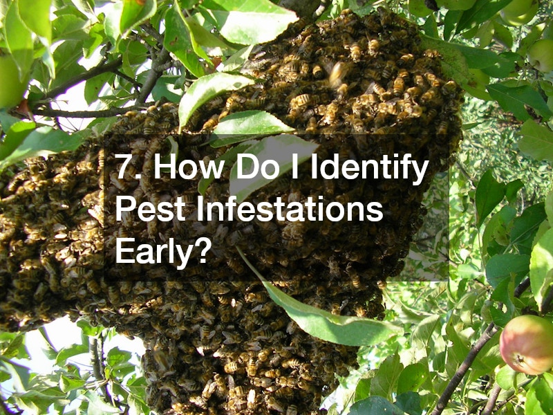 7. How Do I Identify Pest Infestations Early?