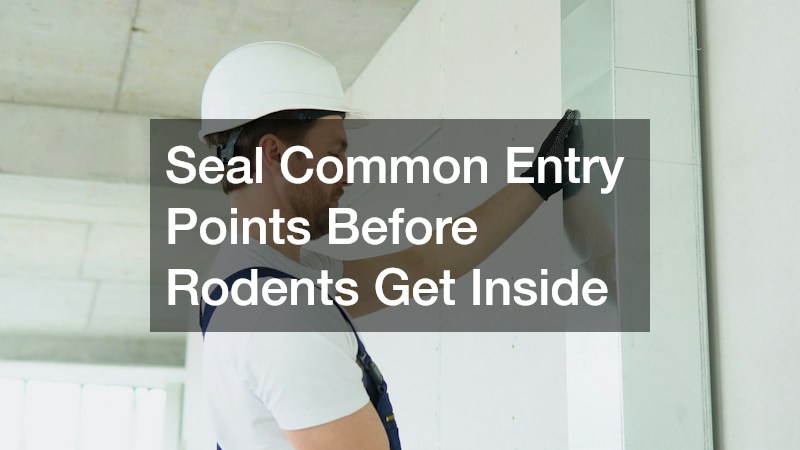 Seal Common Entry Points Before Rodents Get Inside